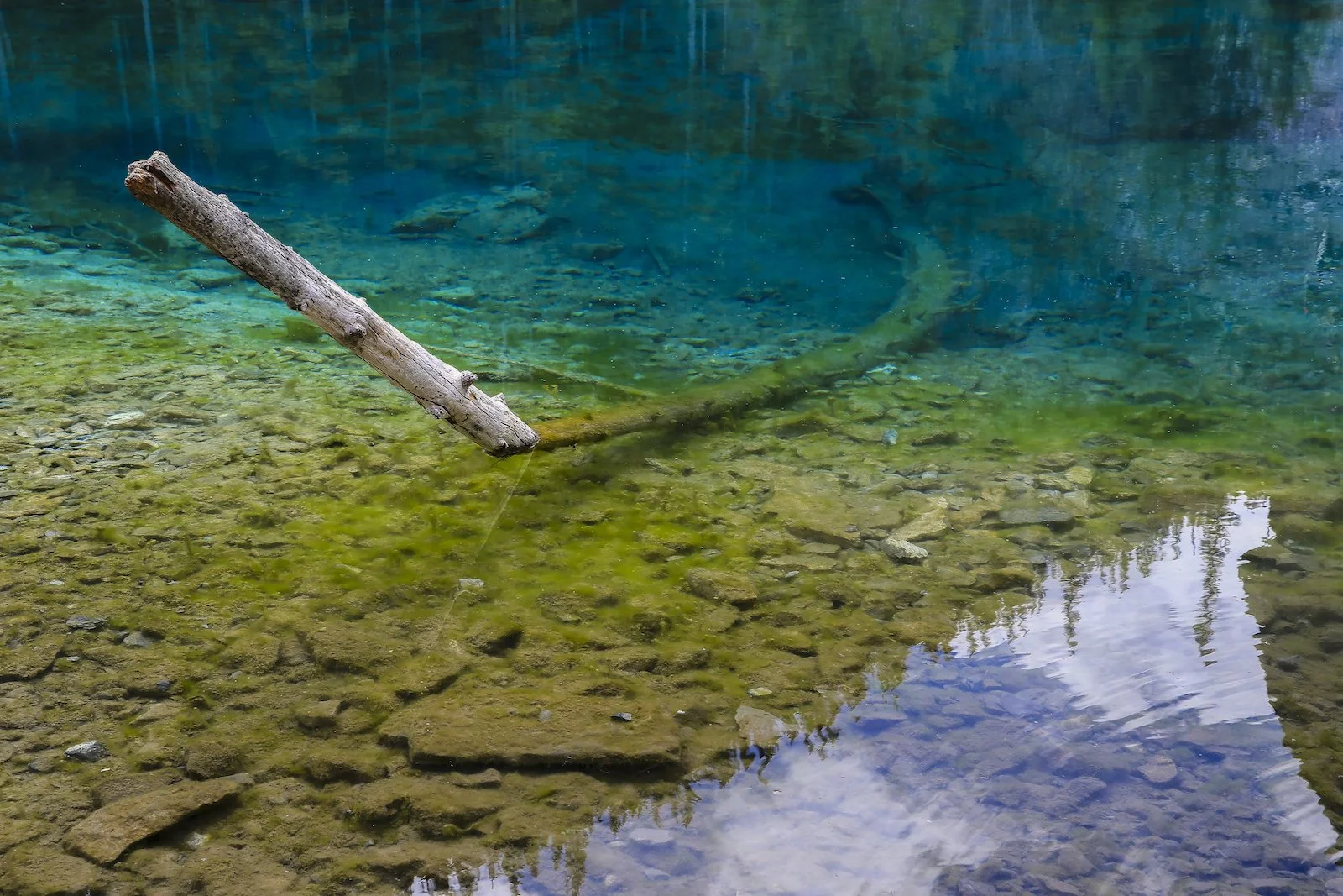 2017 CANMORE A36Y9628-2.JPG