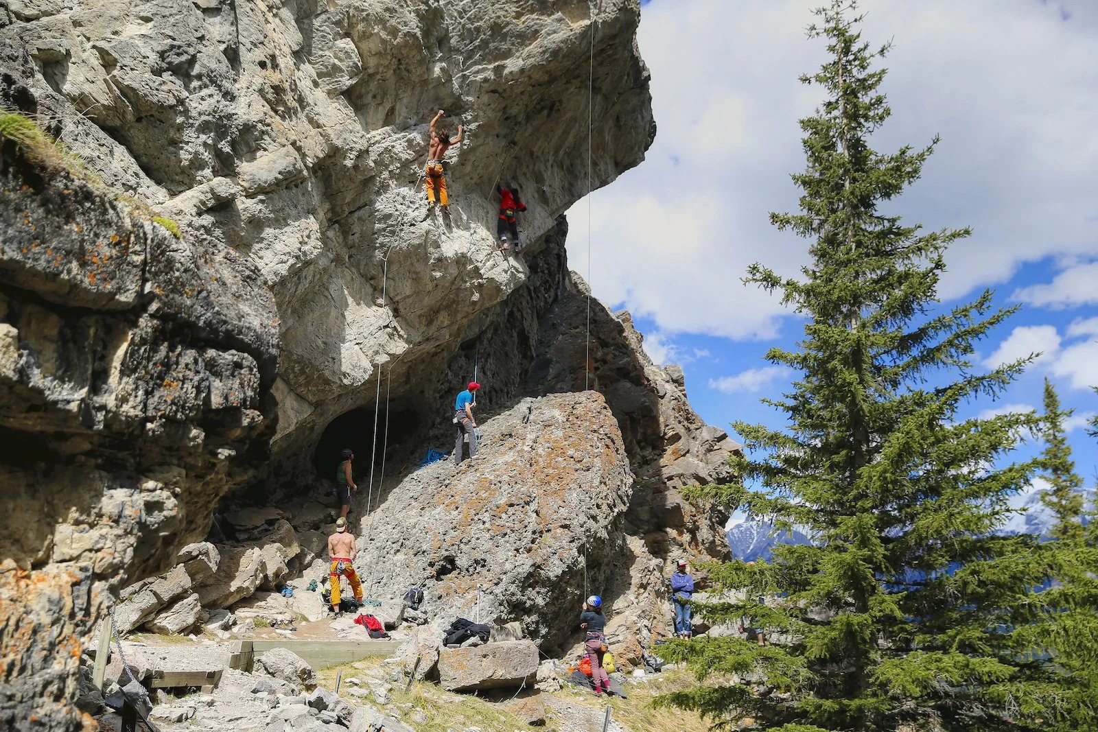 2017 CANMORE A36Y9652-2.JPG