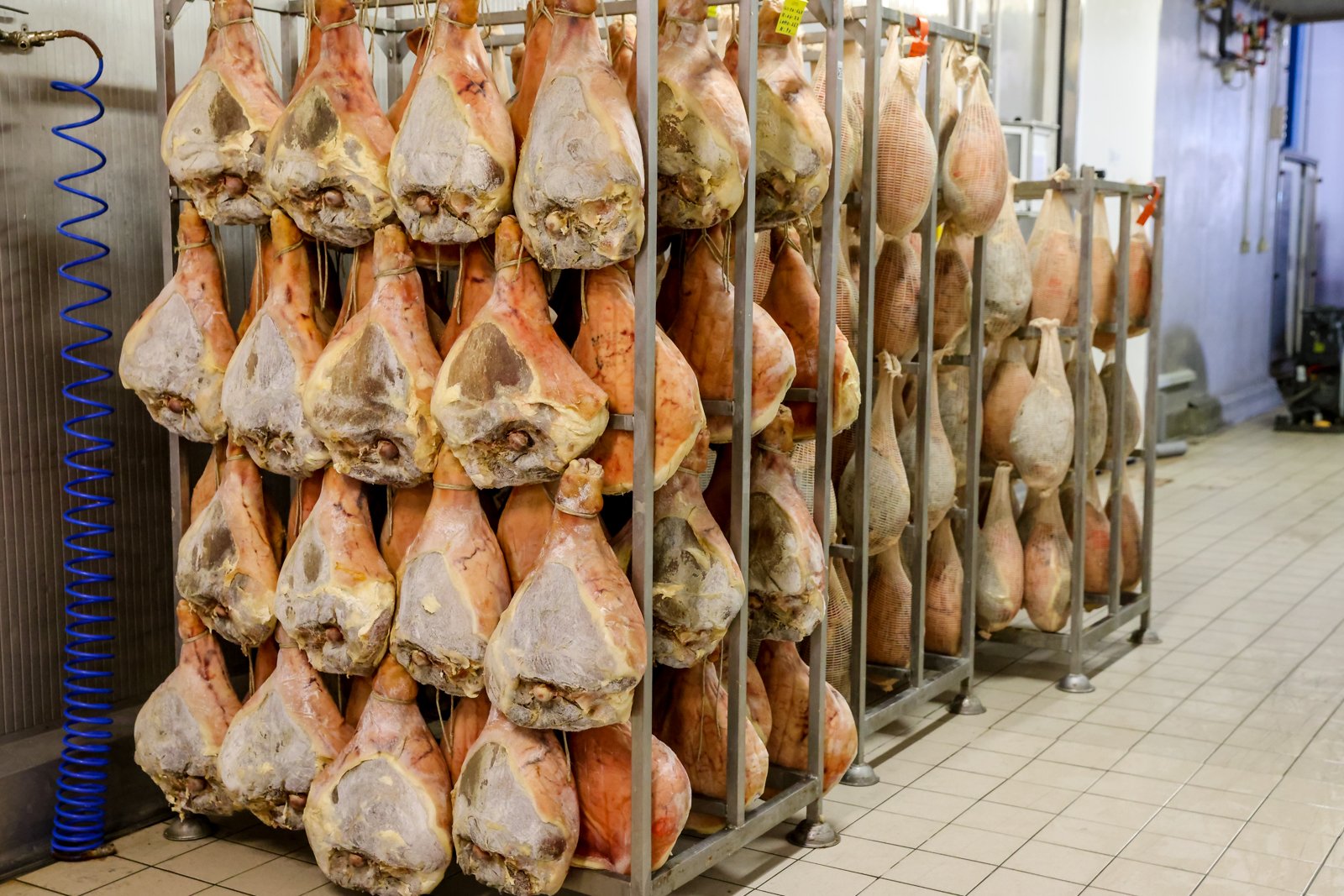 2022 MODENA - PROSCIUTTO-11.jpg