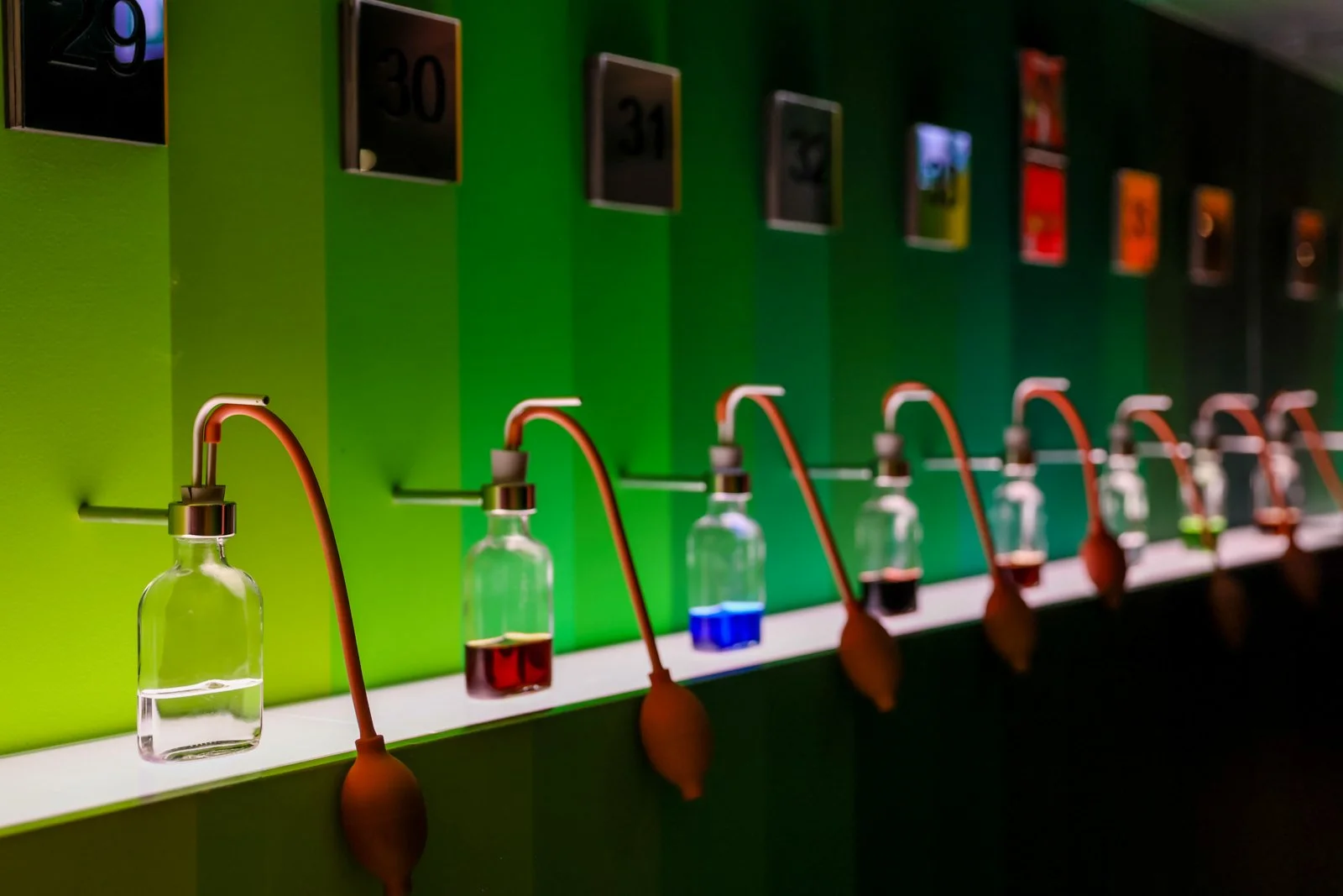 HOUSE OF BOLS-10.jpg