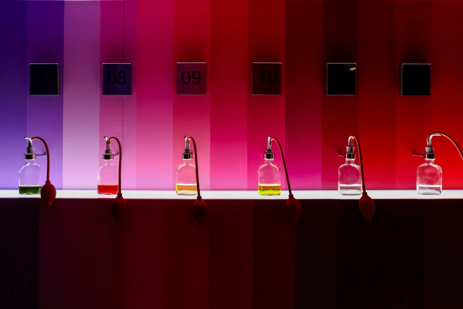 HOUSE OF BOLS-13.jpg