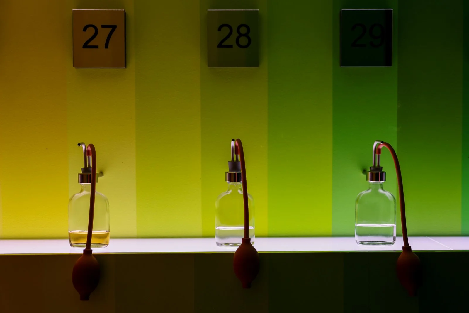 HOUSE OF BOLS-15.jpg