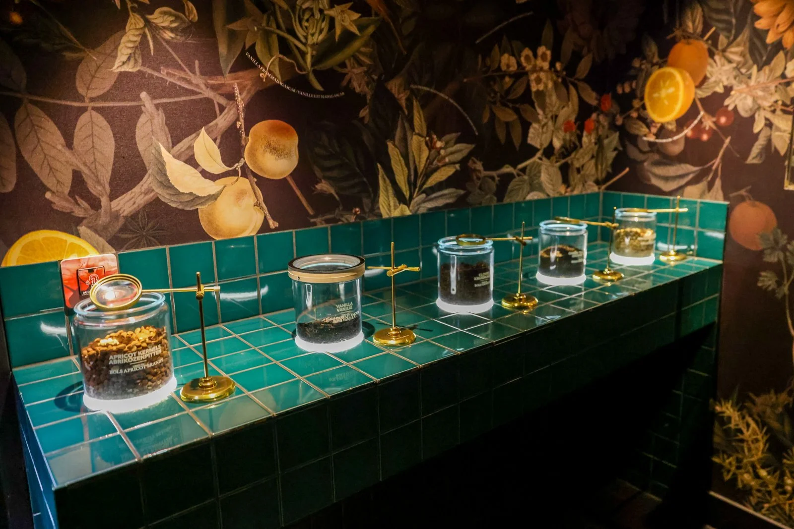 HOUSE OF BOLS-16.jpg