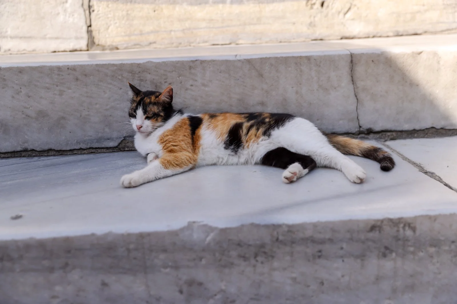 ISTANBUL STREETSCAPES-108.jpg