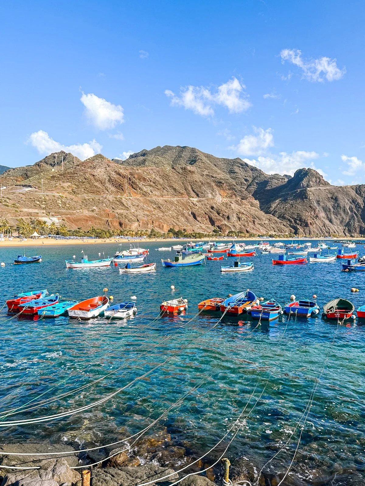 TENERIFE 2024-93.jpg