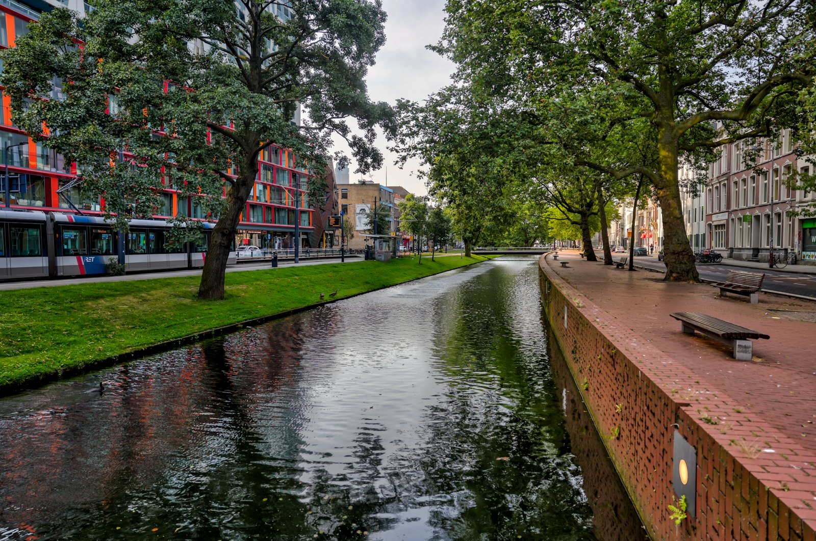 2024 EU ROTTERDAM CITYSCAPES-42.jpg