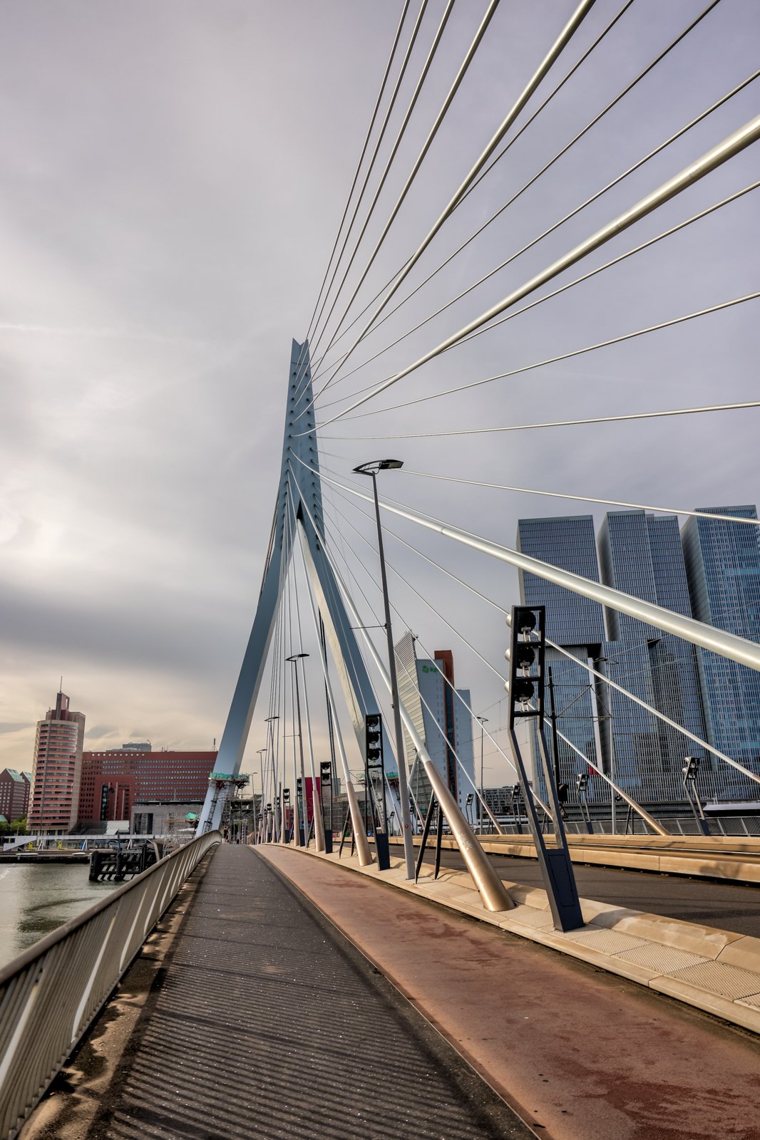 2024 EU ROTTERDAM CITYSCAPES-138.jpg