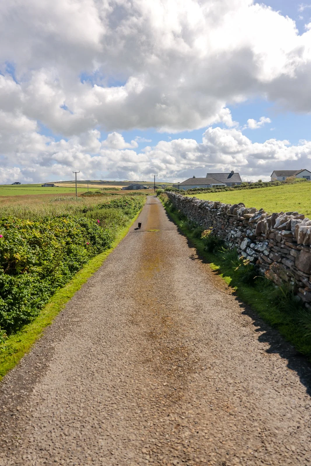 2024 EU ORKNEY ISLAND LANDSCAPES-60.jpg