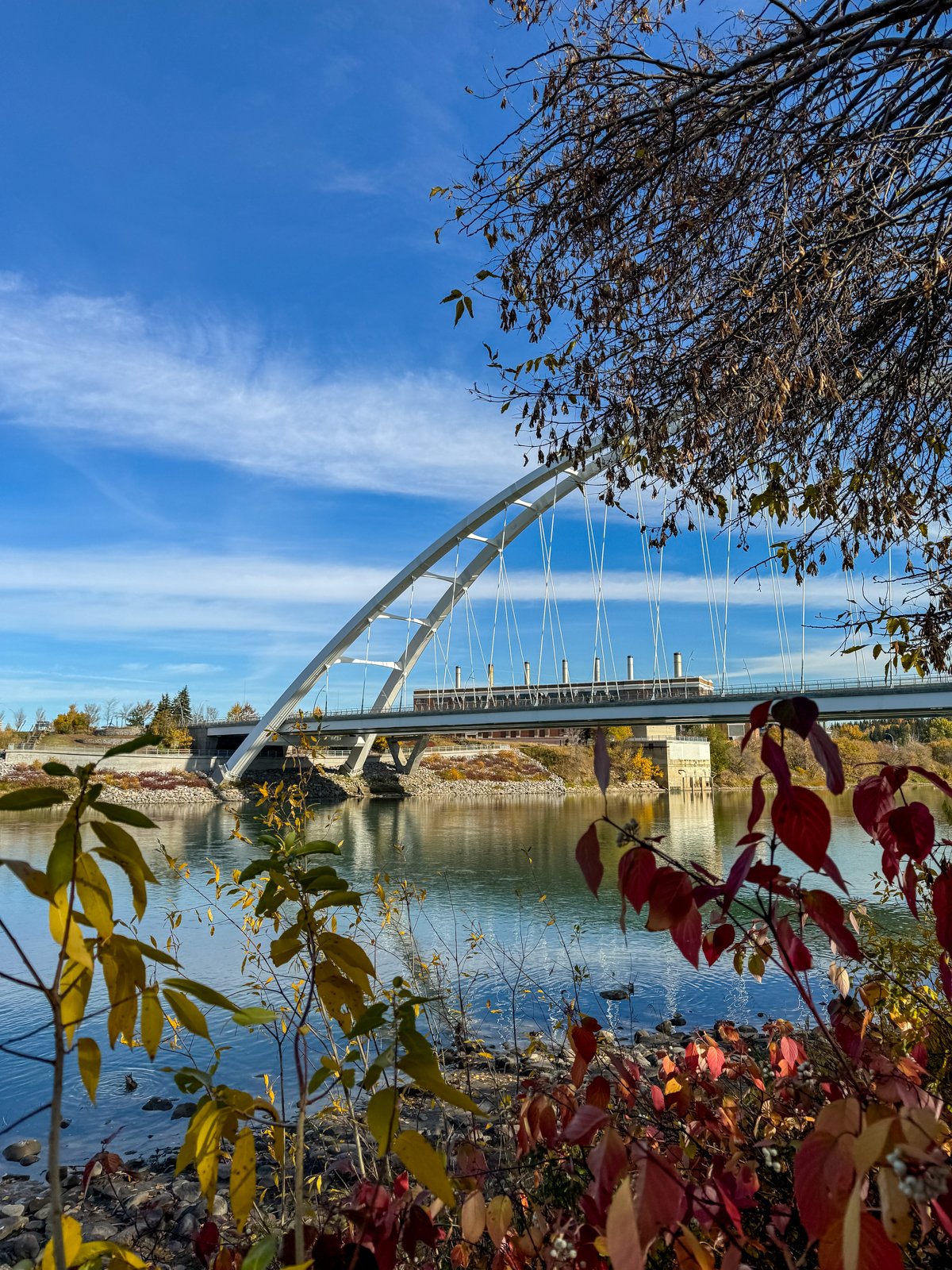 2024 EDMONTON-14.jpg