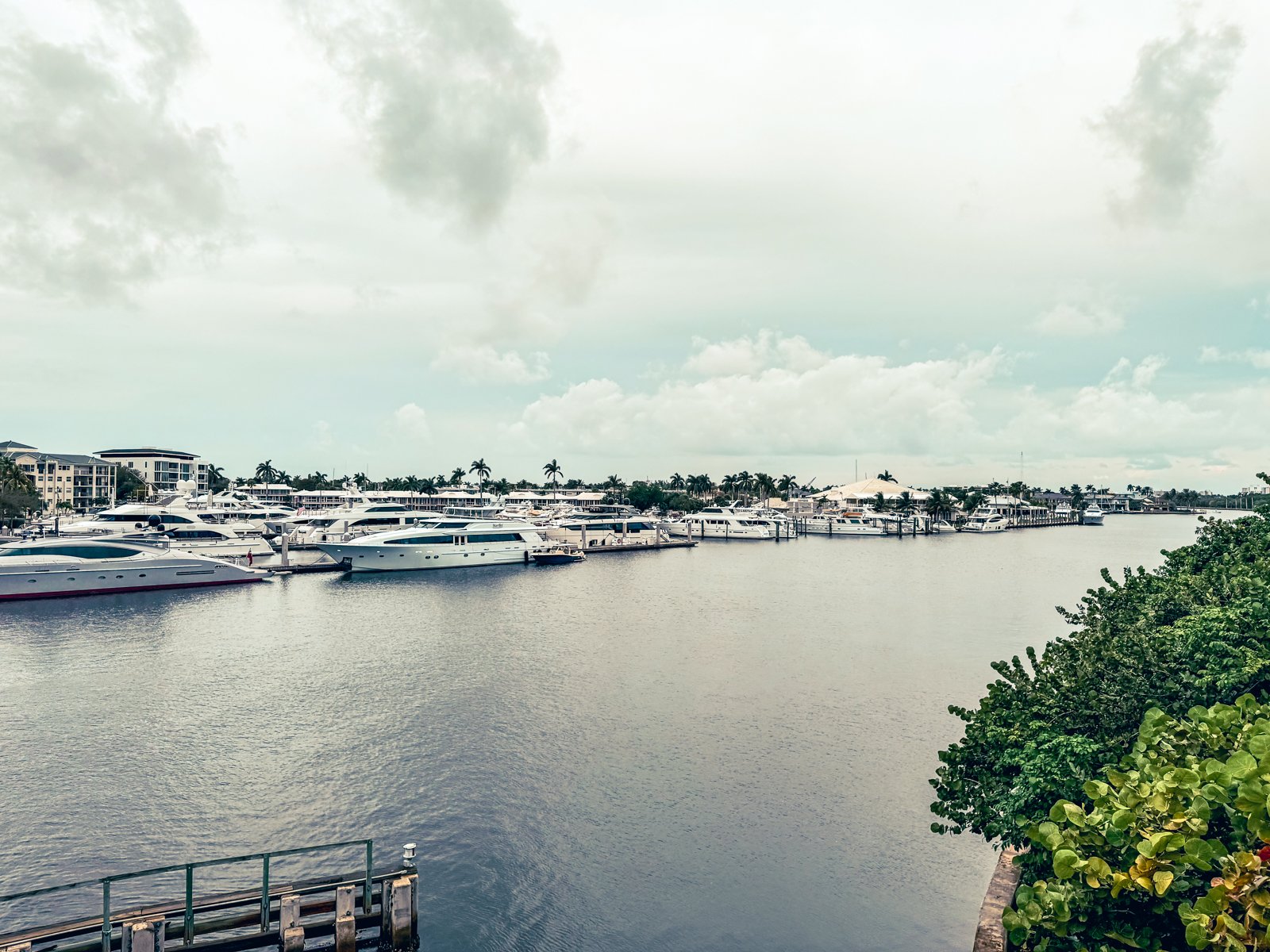 2024 CARRIBEAN WINTER-24.jpg