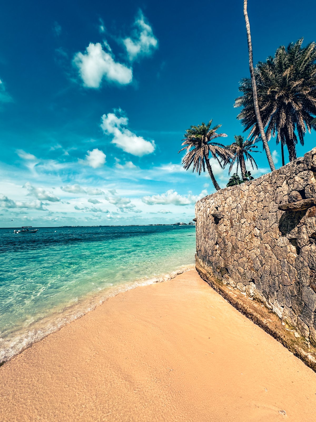 2024 CARRIBEAN WINTER-89.jpg