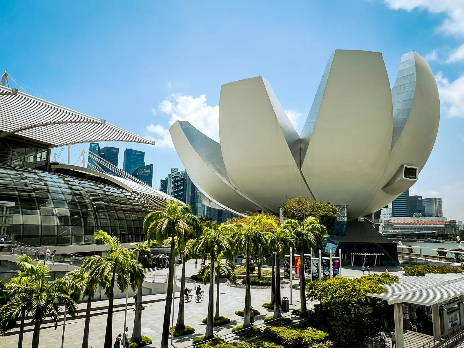 2025 SINGAPORE MARINA BAY SANDS-23.jpg