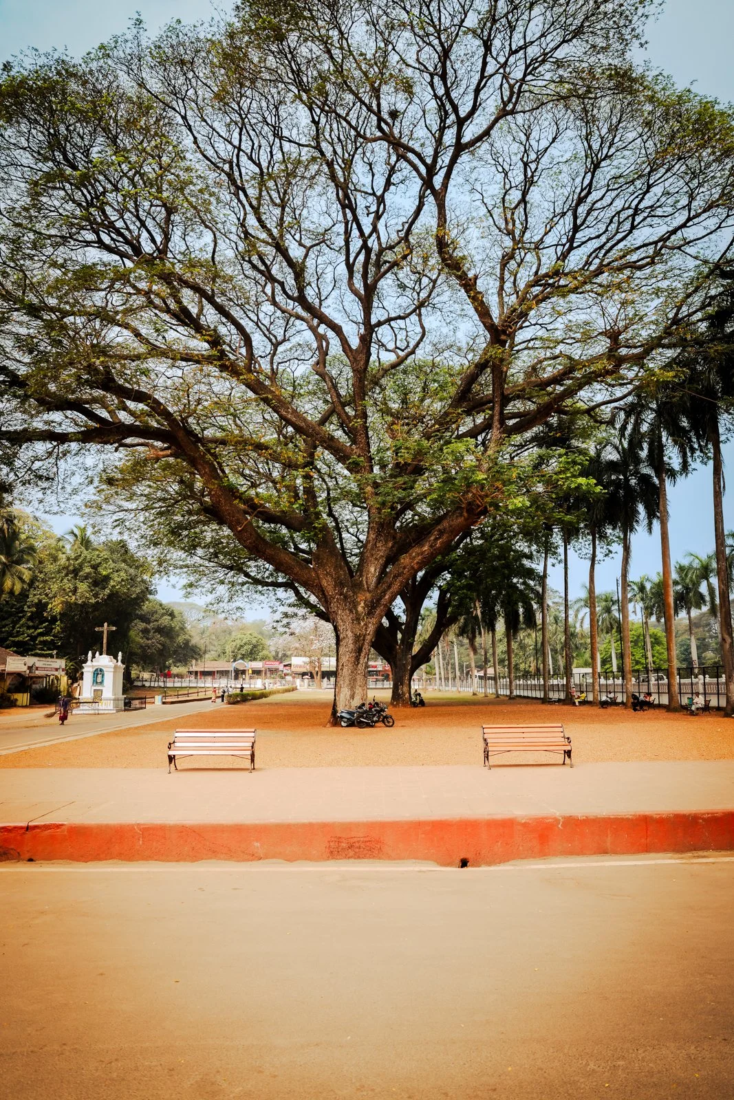 2025 GOA-4.jpg