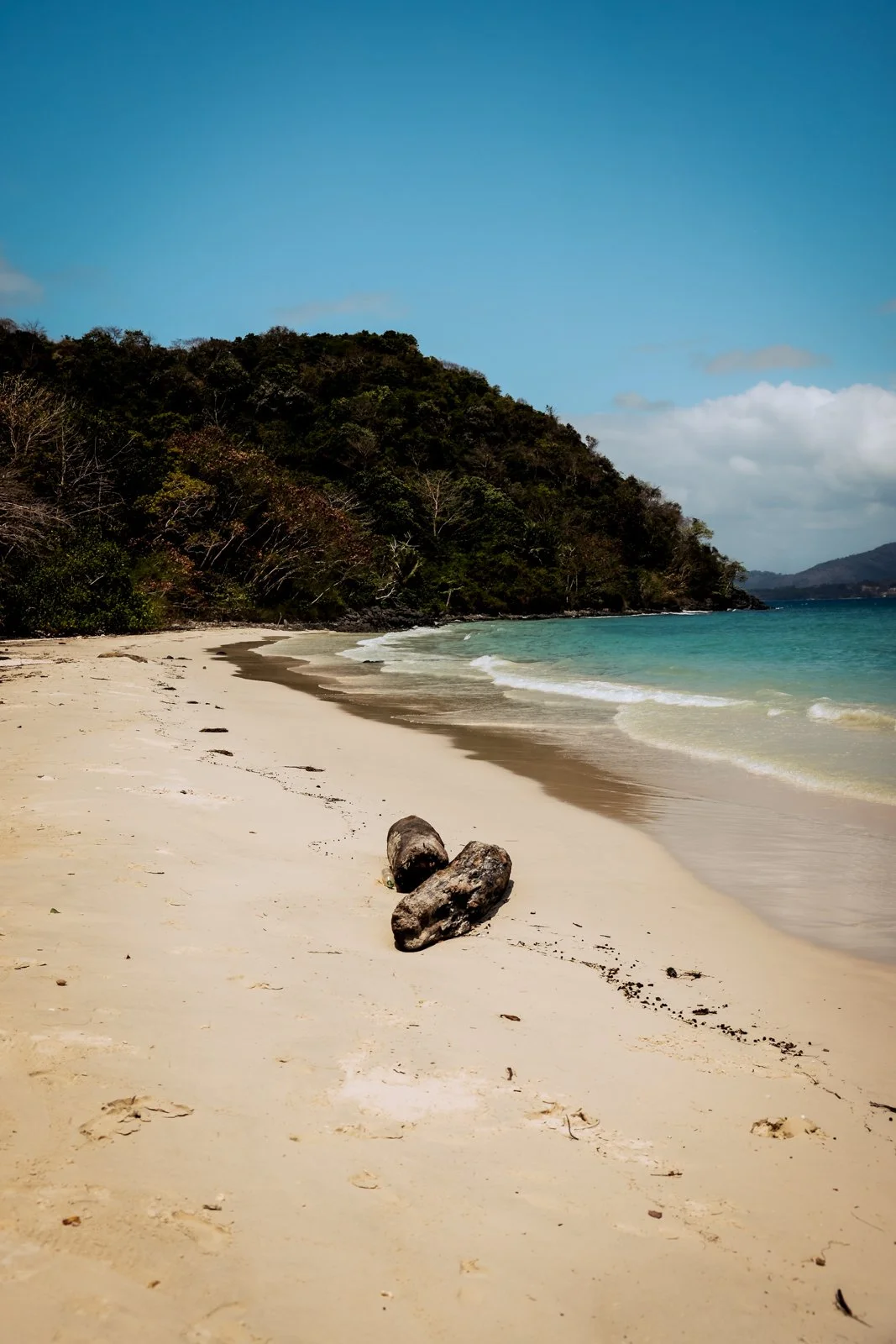 2025 CORAL ISLAND-27.jpg