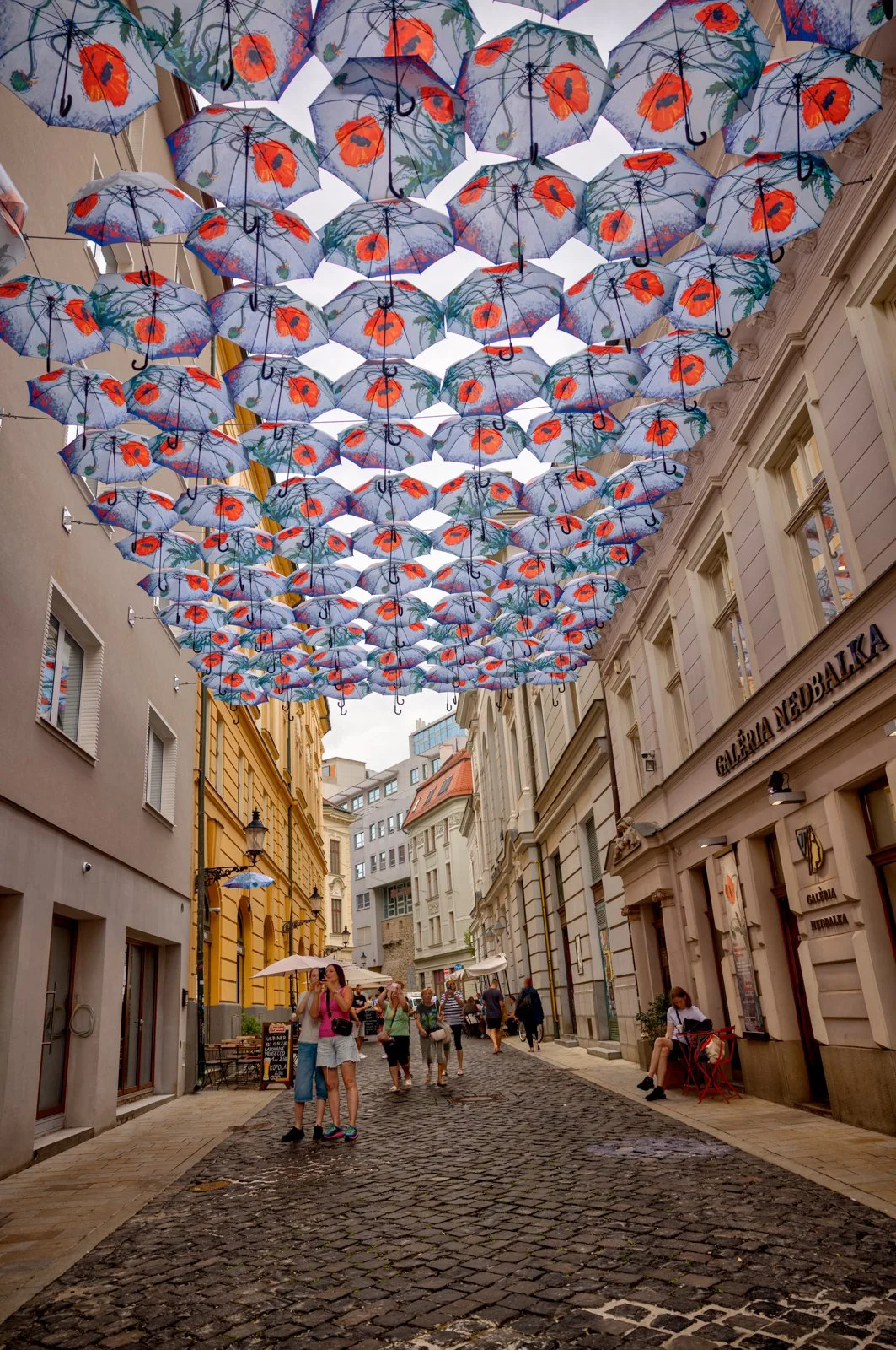 2025 BRATISLAVA-194.jpg