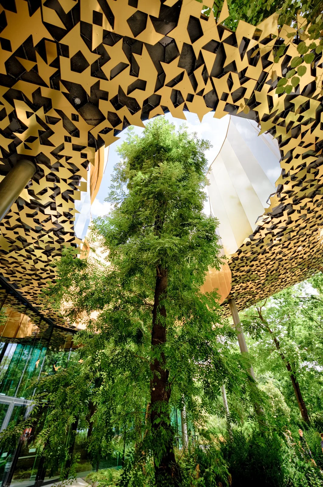 2025 BUDAPEST CITY PARK-84.jpg
