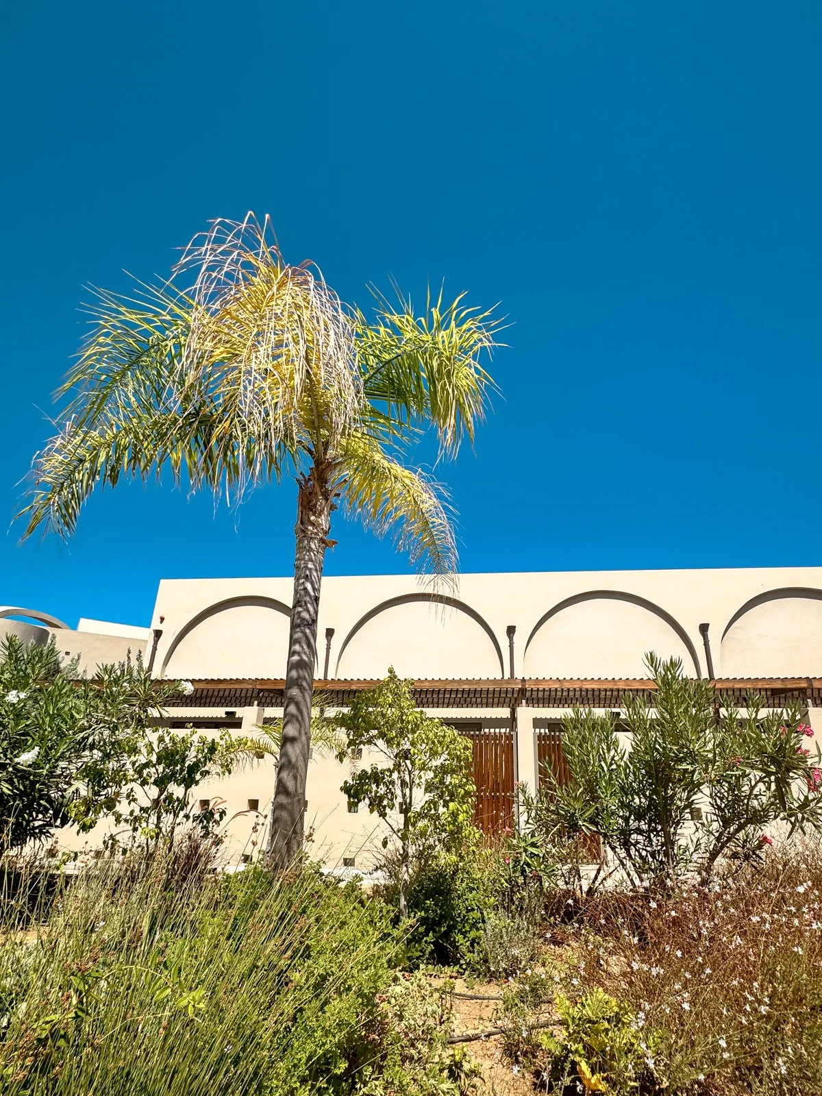 2025 CHANIA DOMES NORUZ-30.jpg