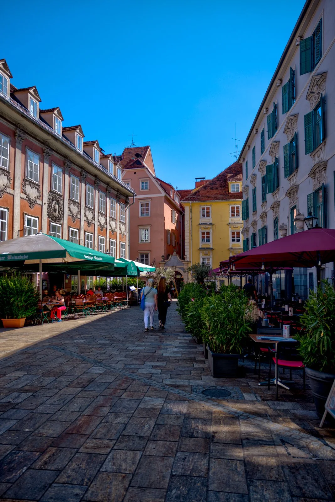 2025 GRAZ-35.jpg