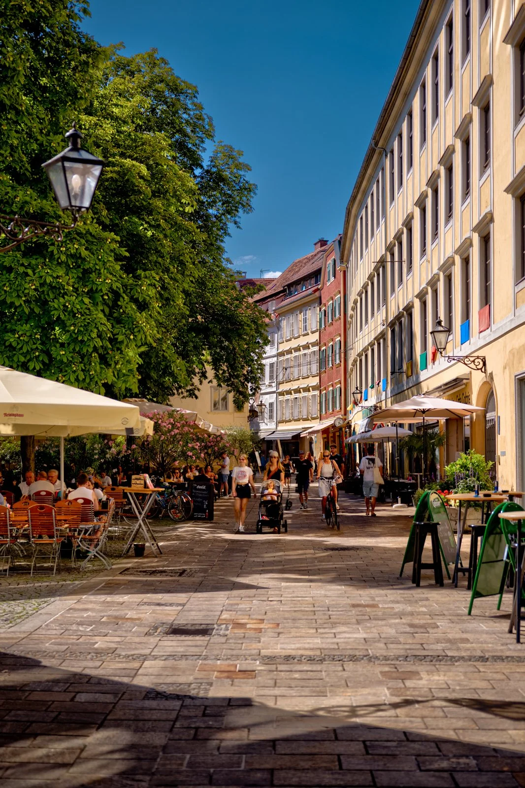 2025 GRAZ-37.jpg