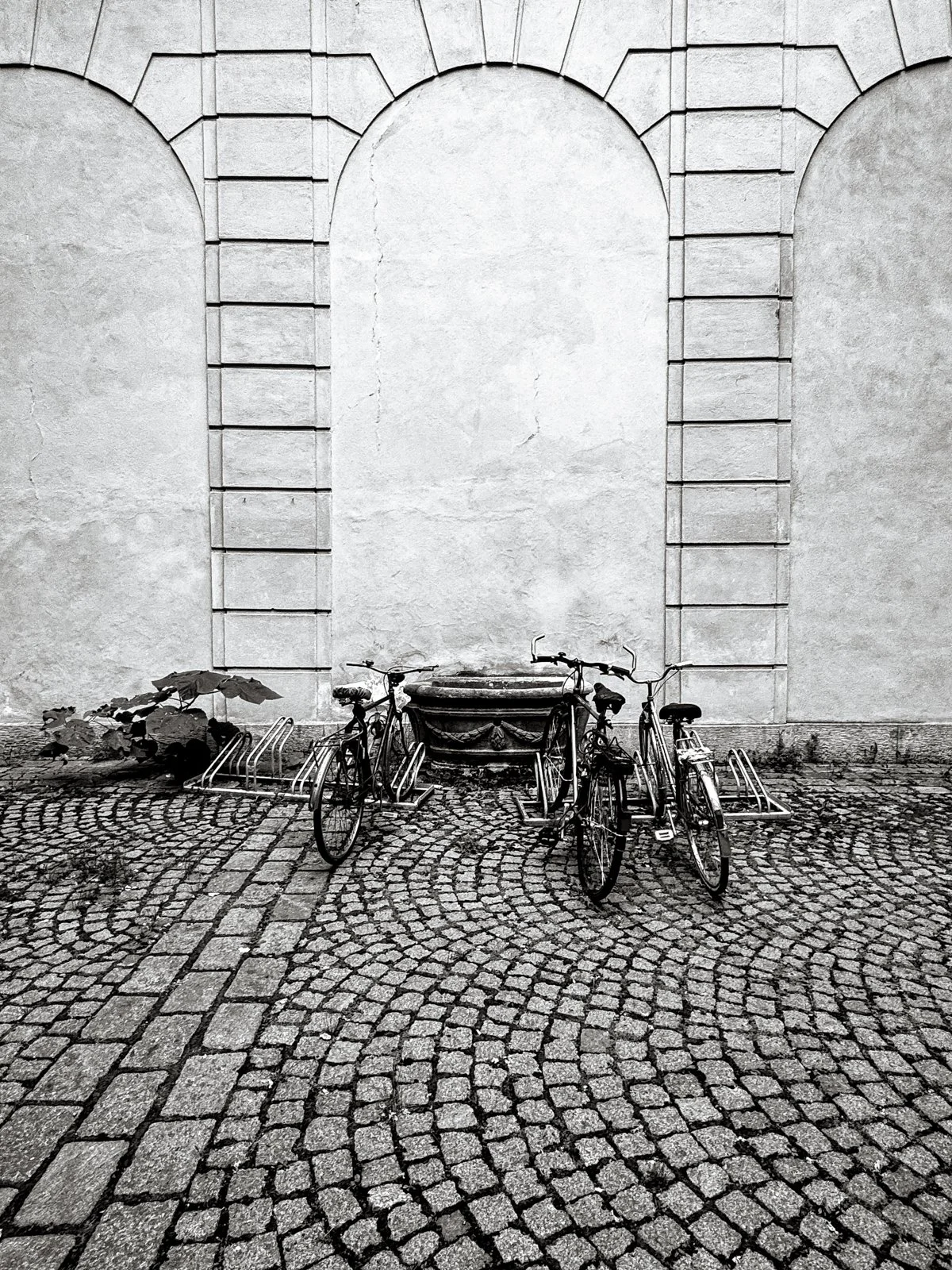 2025 GRAZ-70.jpg