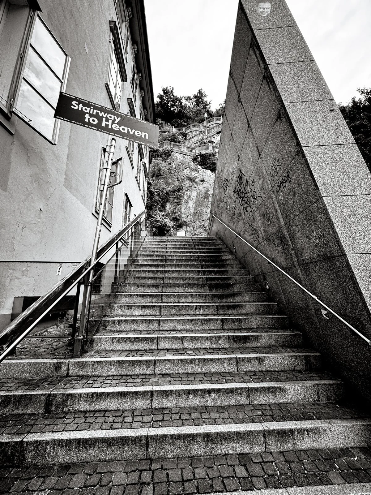 2025 GRAZ-78.jpg