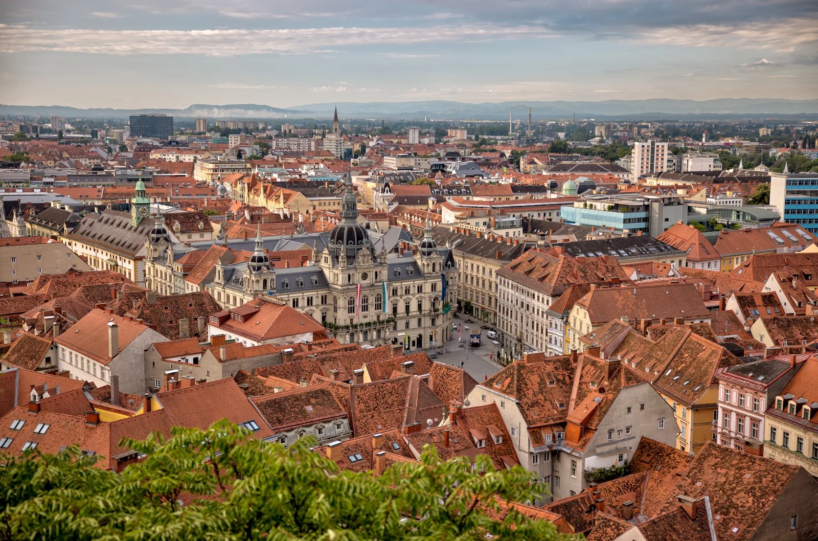 2025 GRAZ-92.jpg
