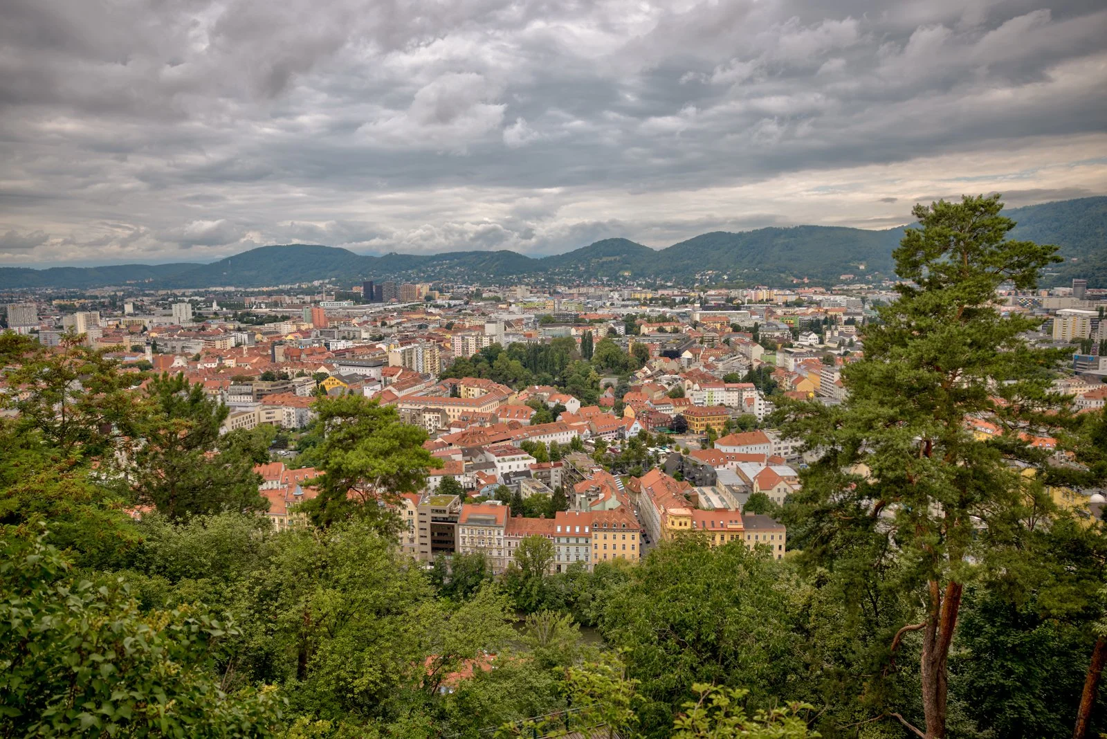 2025 GRAZ-141.jpg