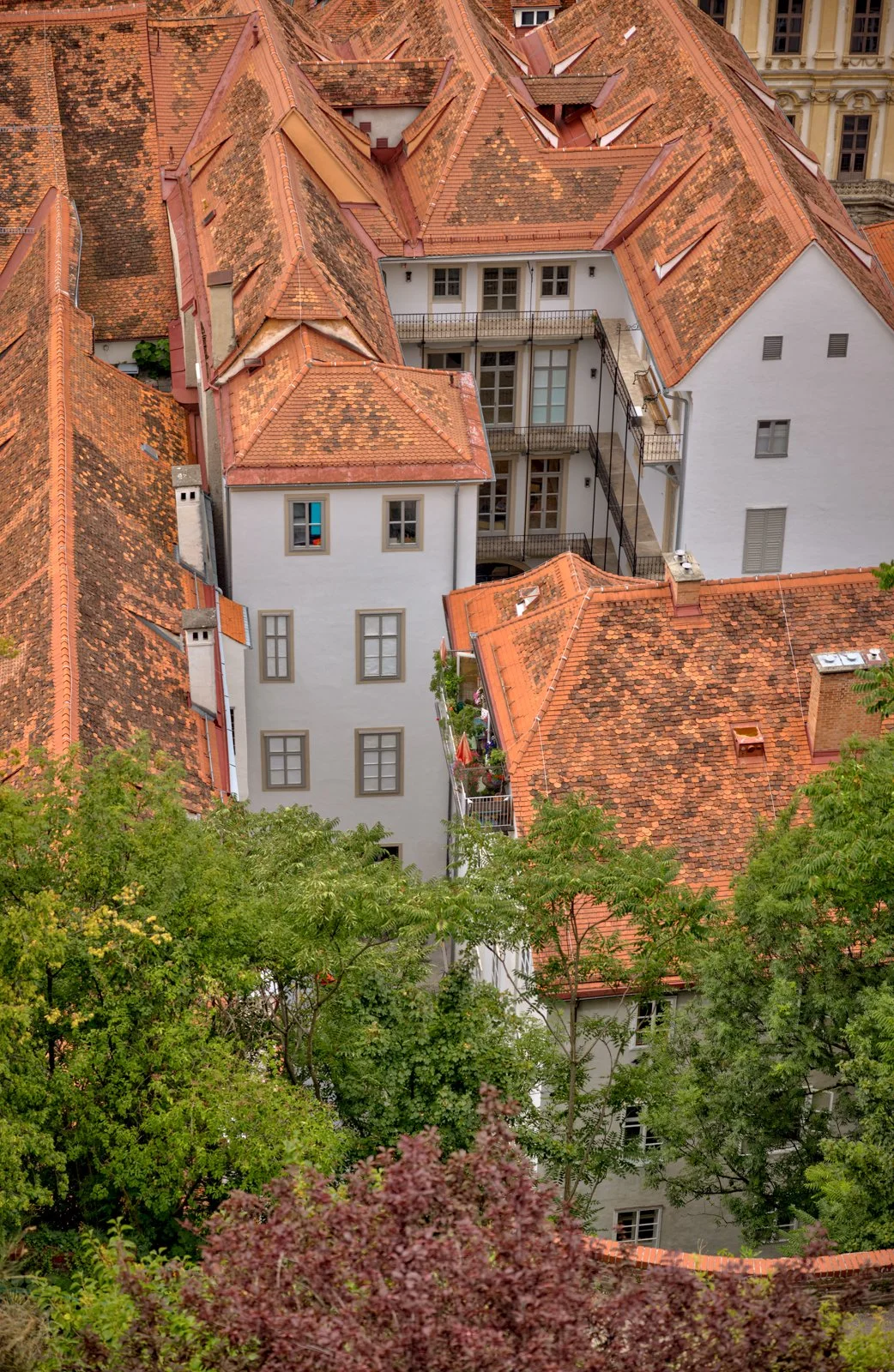 2025 GRAZ-152.jpg