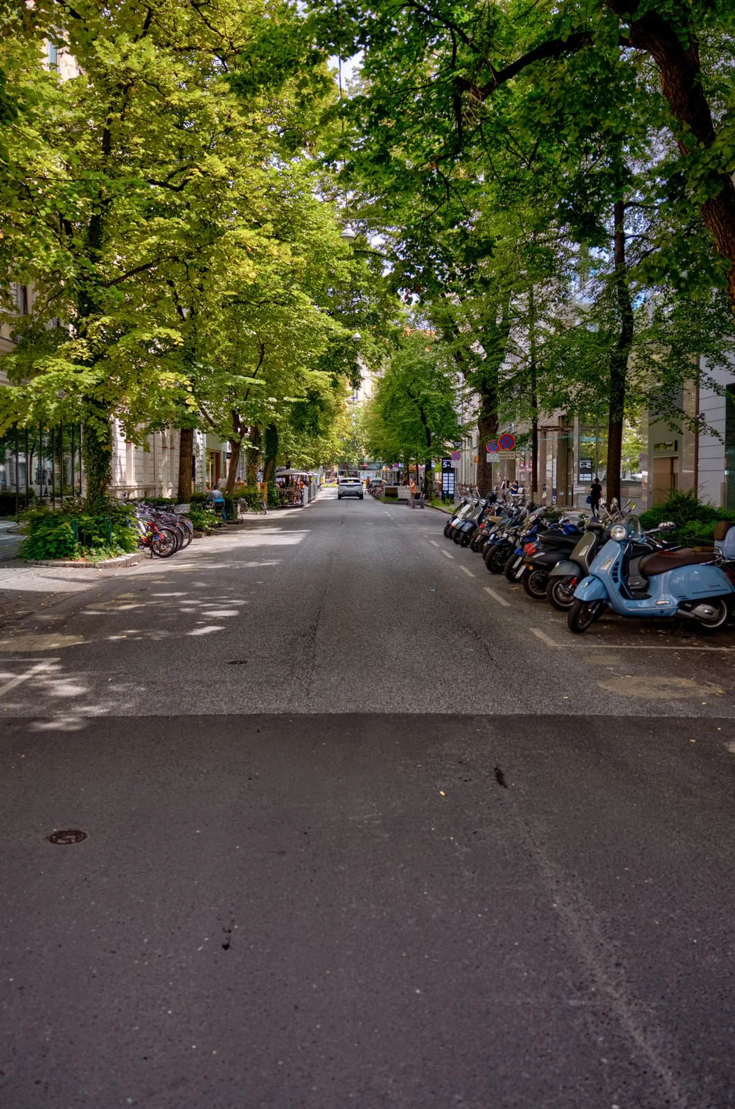 2025 GRAZ-169.jpg