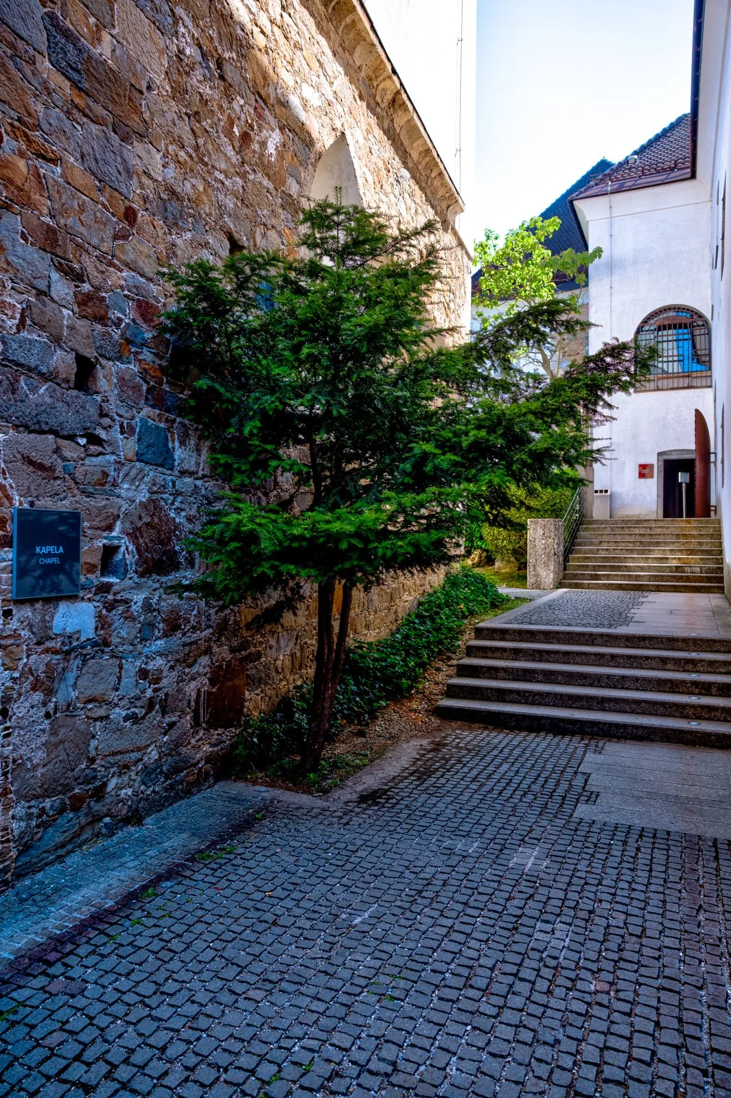 2025 LJUBLJANA CASTLE-33.jpg