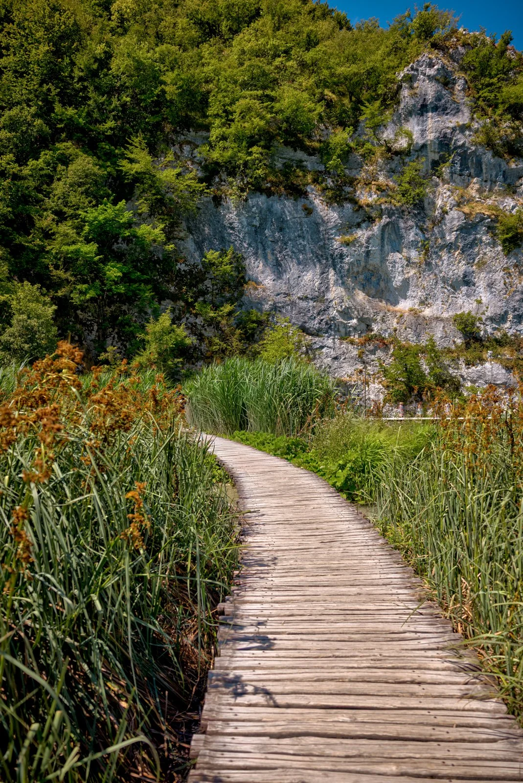 2025 PLITIVICE-10.jpg
