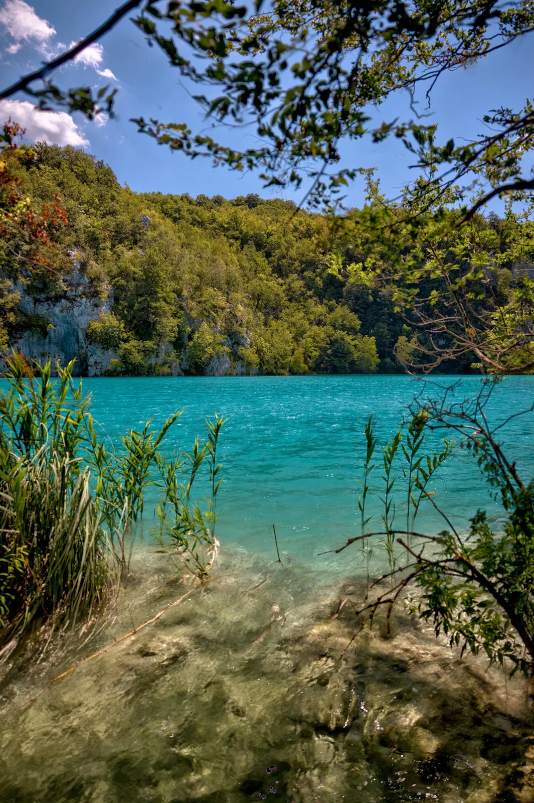 2025 PLITIVICE-15.jpg