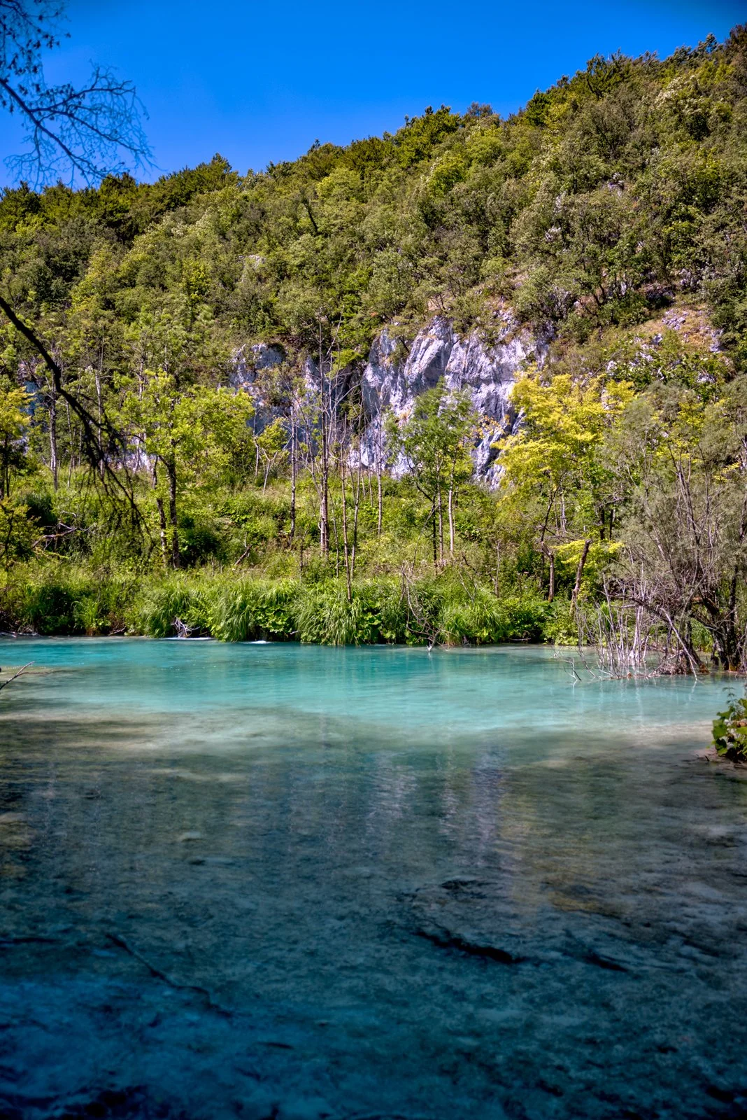 2025 PLITIVICE-19.jpg