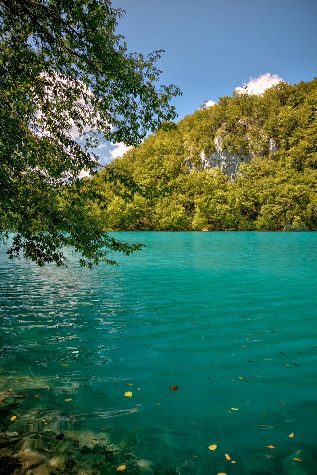 2025 PLITIVICE-21.jpg