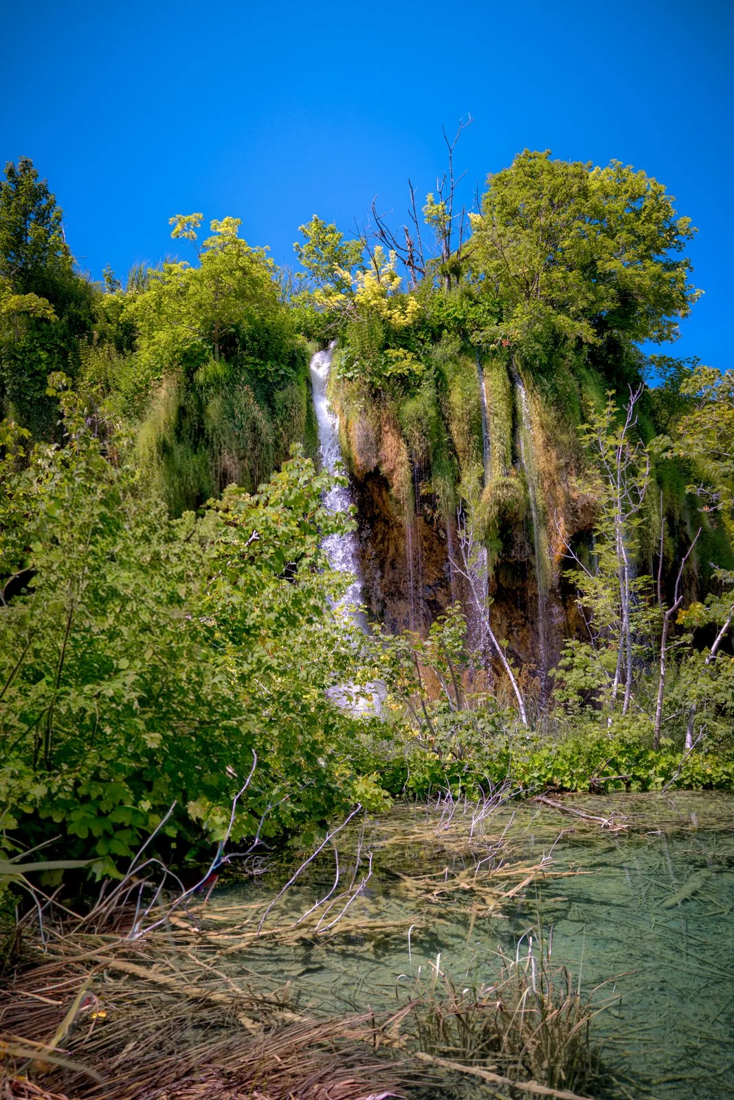 2025 PLITIVICE-32.jpg