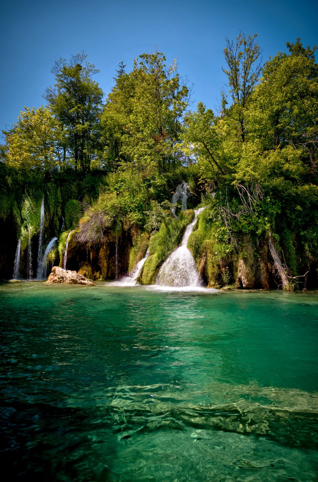 2025 PLITIVICE-37.jpg