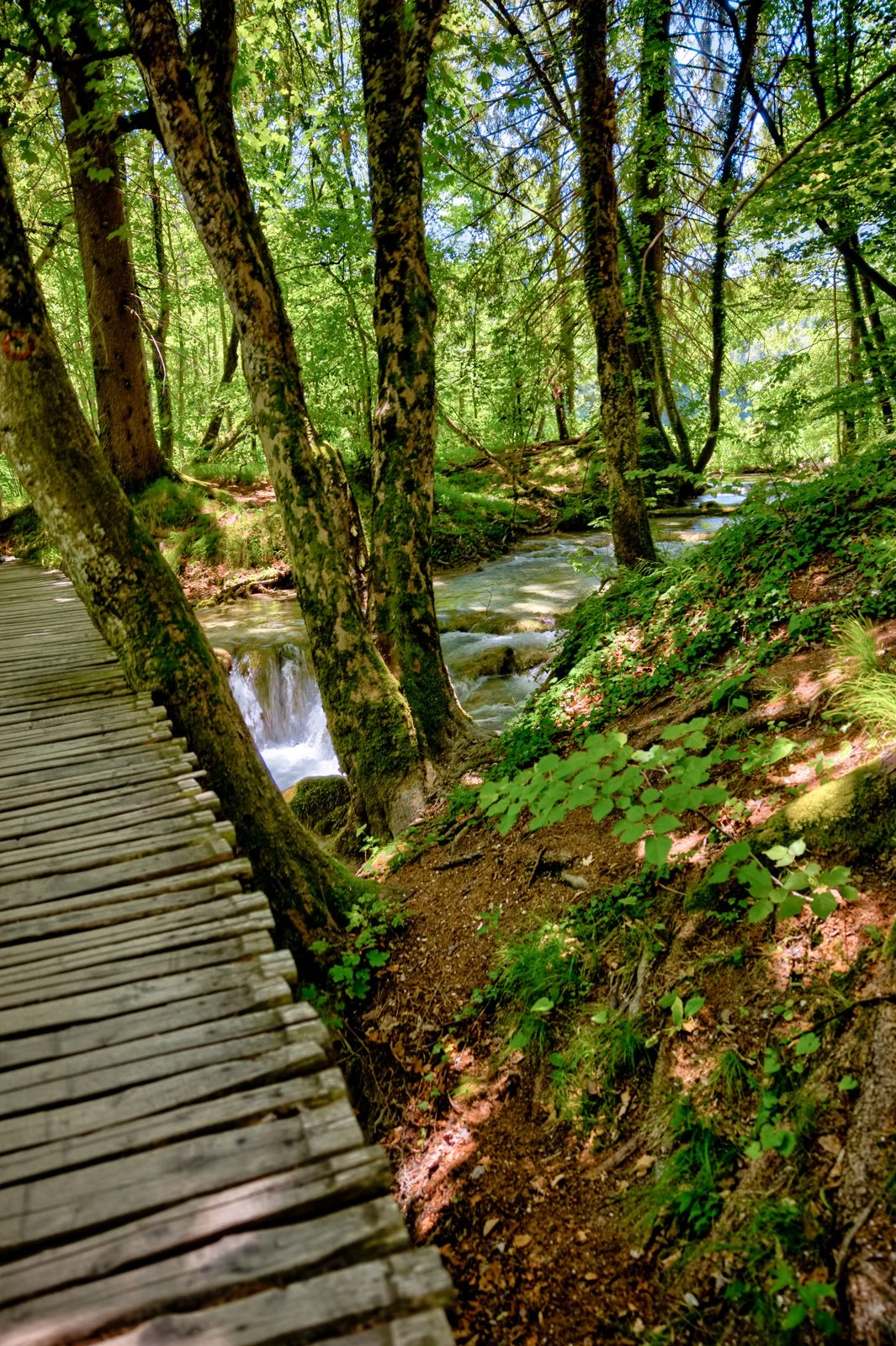 2025 PLITIVICE-43.jpg