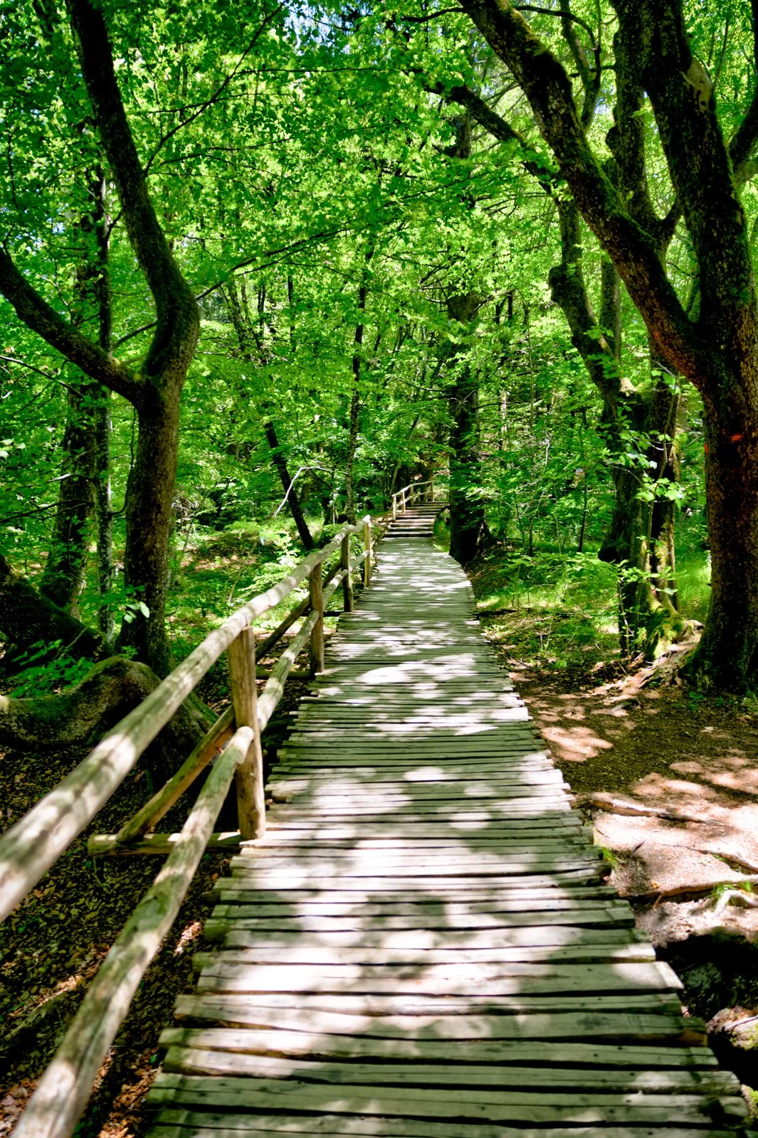 2025 PLITIVICE-44.jpg