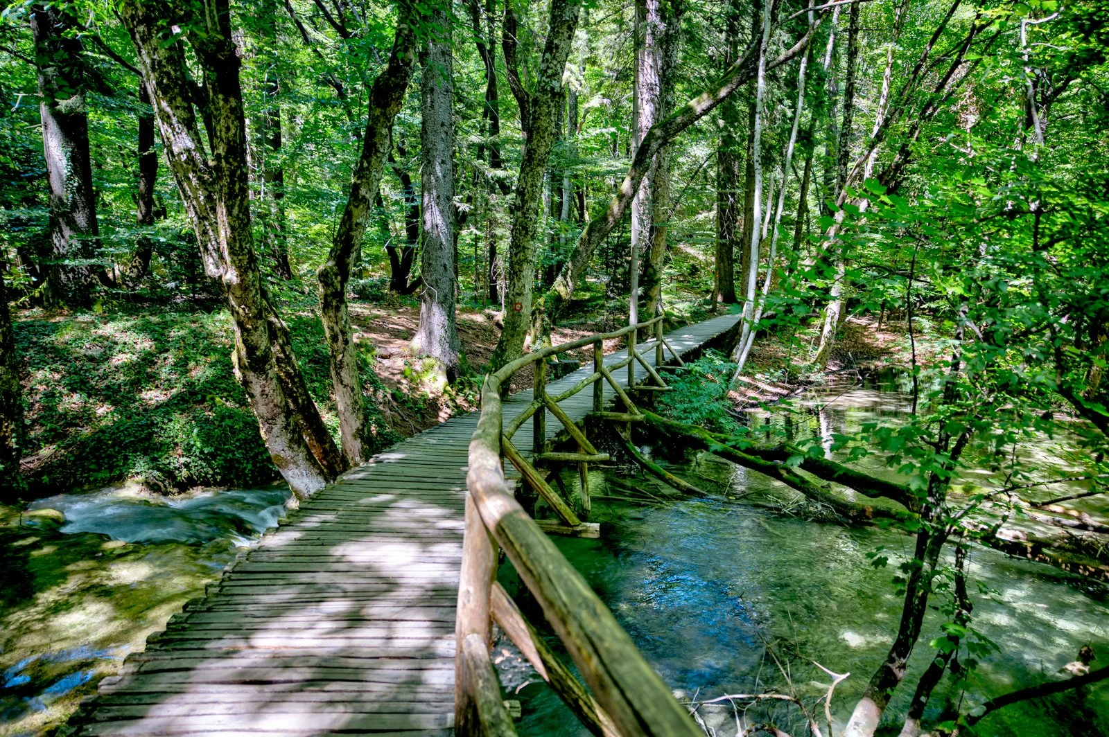 2025 PLITIVICE-45.jpg