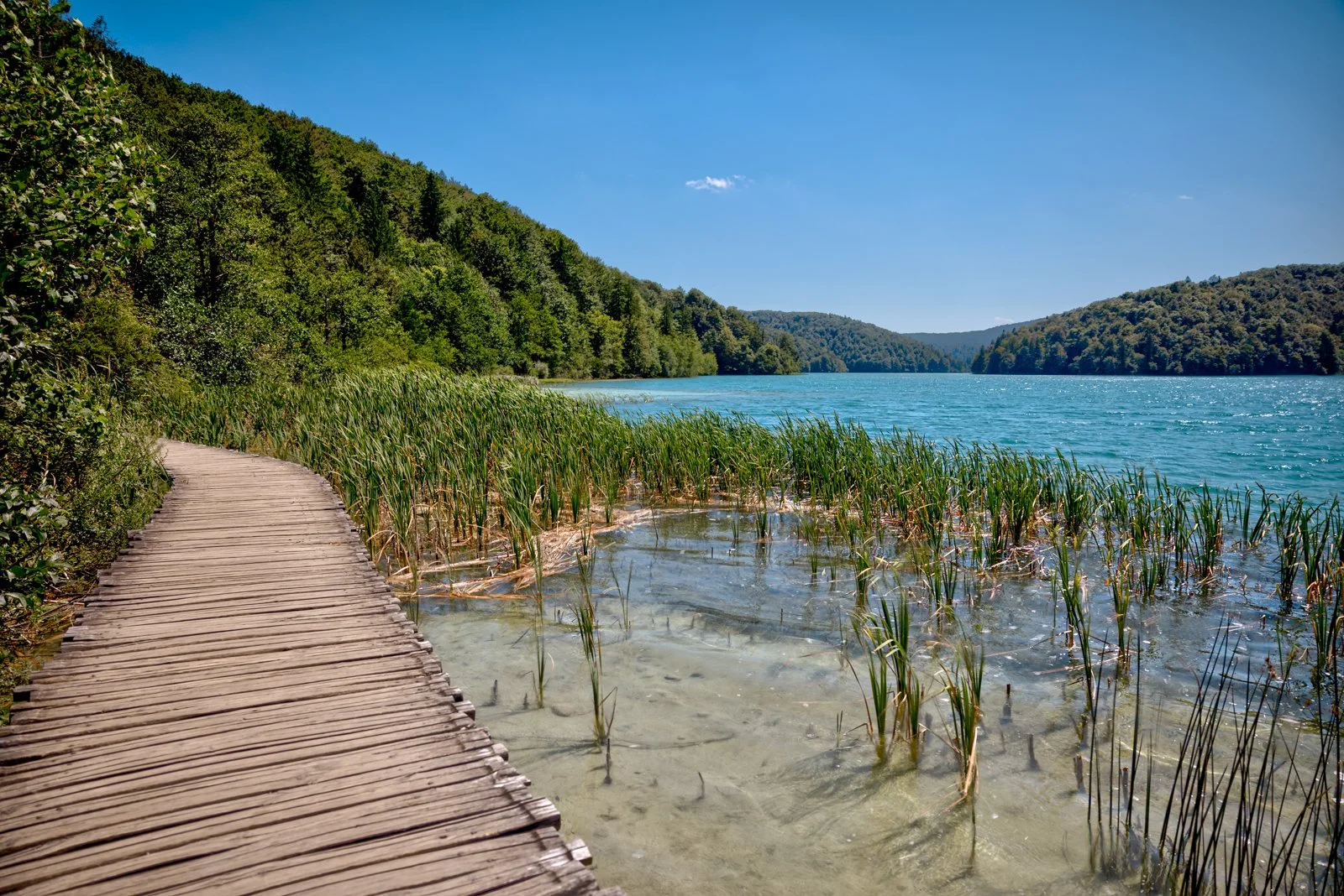 2025 PLITIVICE-48.jpg