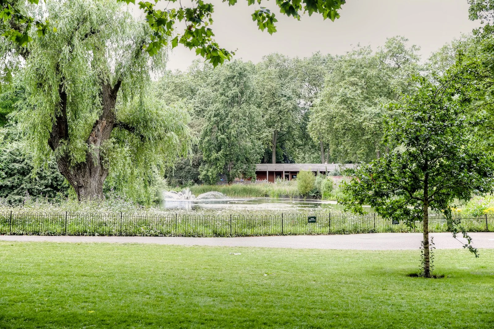 EUROPE 2016 LONDON-8.JPG