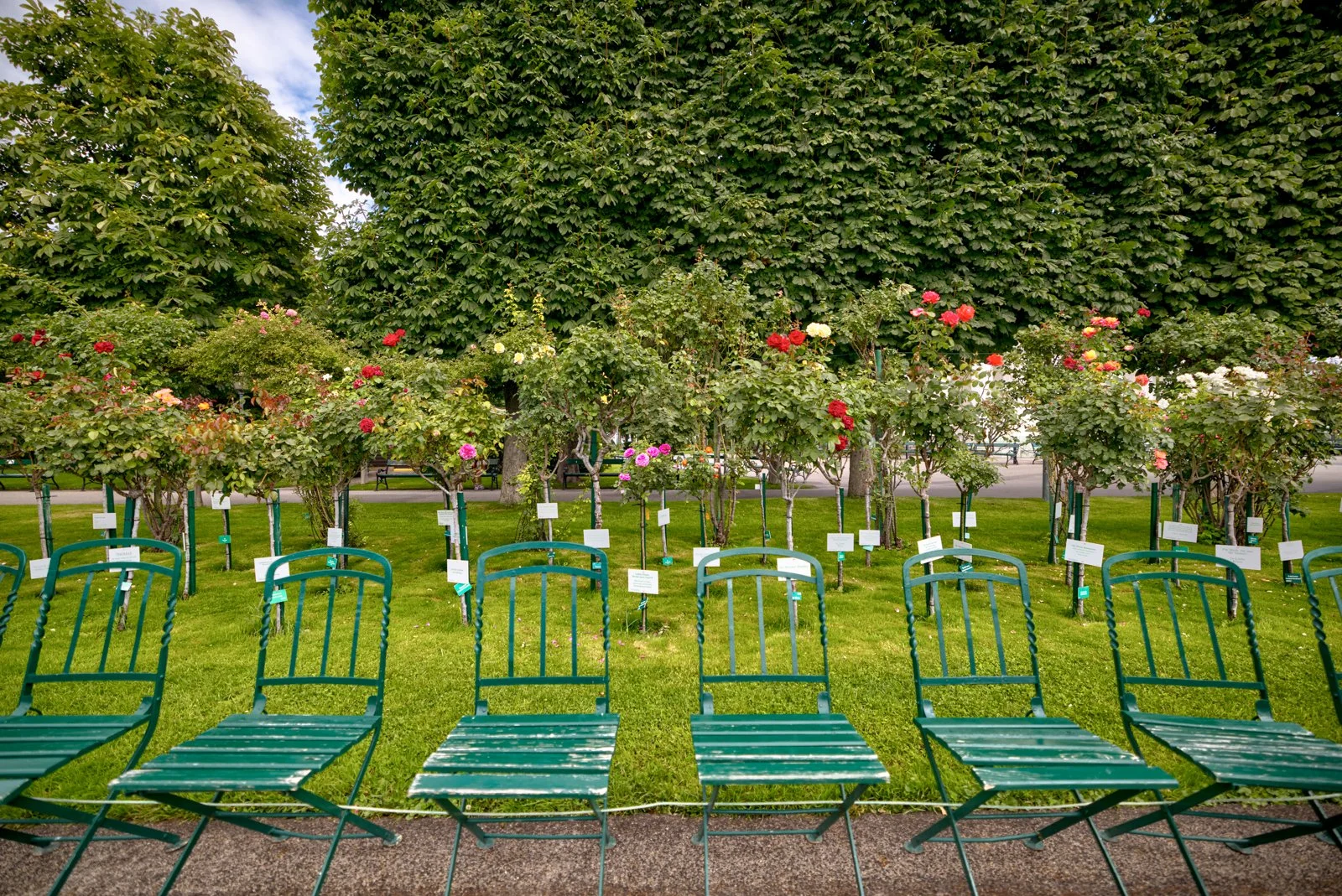 2025 VIENNA VOLKSGARTEN-6.jpg
