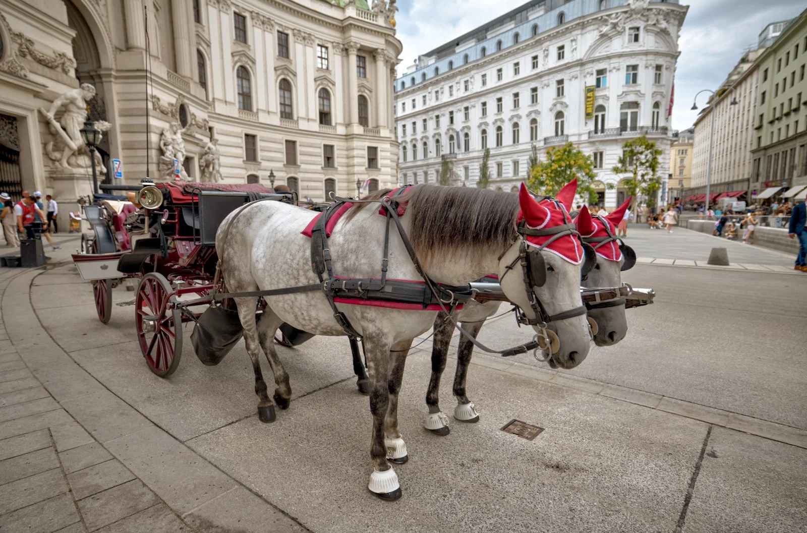 2025 VIENNA STREETSCAPES-59.jpg