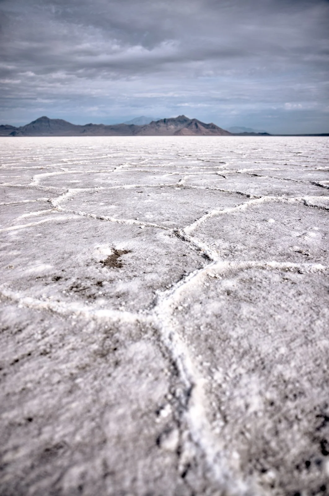 2025 BONNEVILLE SALT FLATS-4.jpg