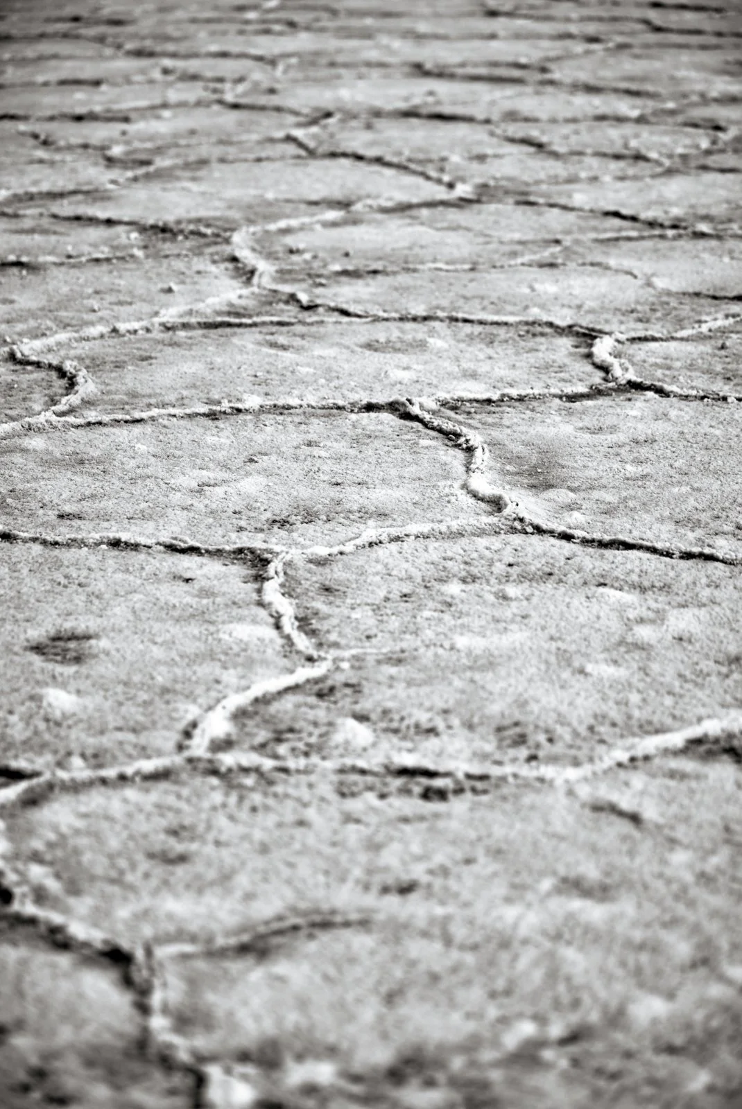 2025 BONNEVILLE SALT FLATS-25.jpg