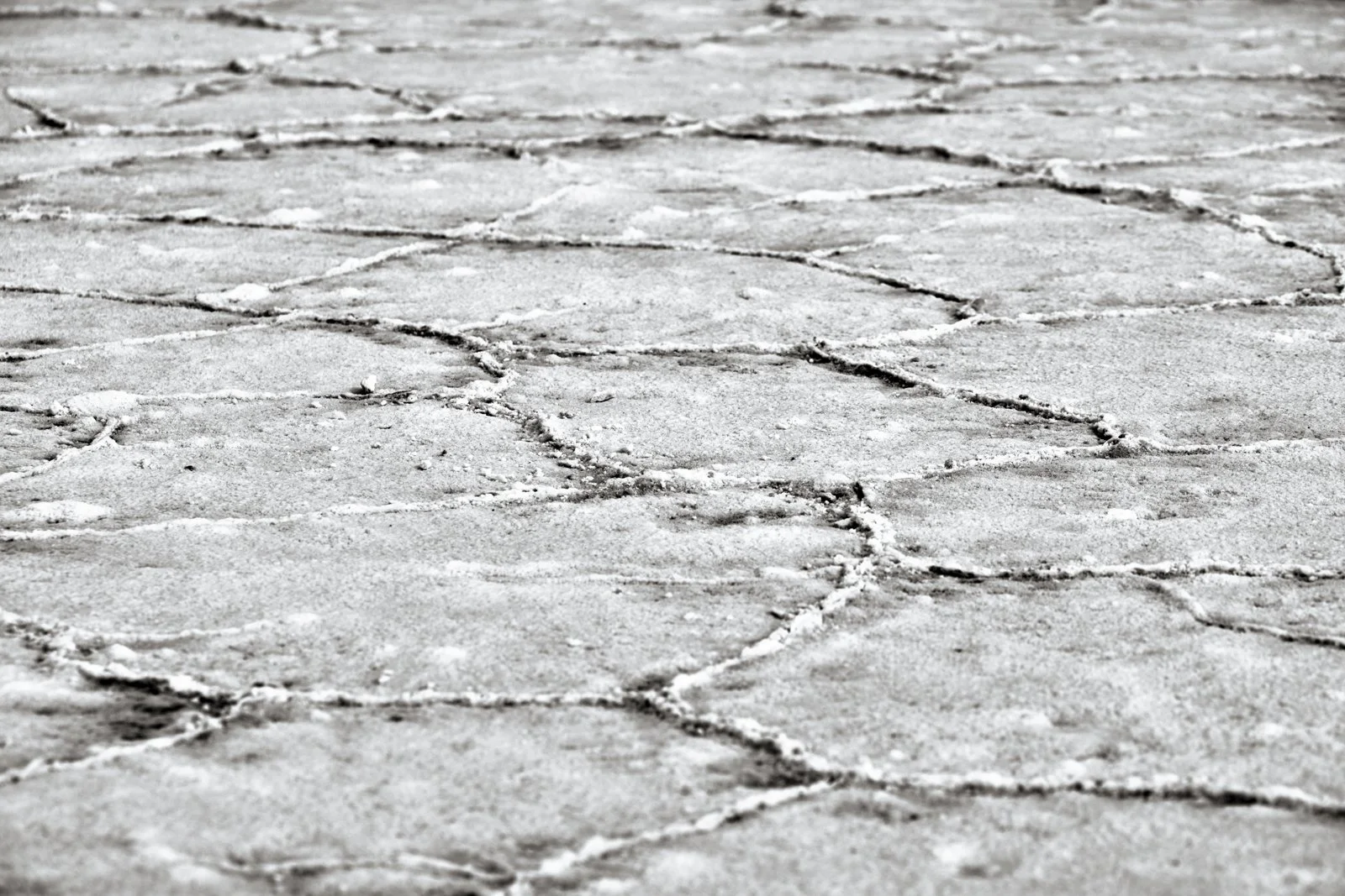 2025 BONNEVILLE SALT FLATS-26.jpg