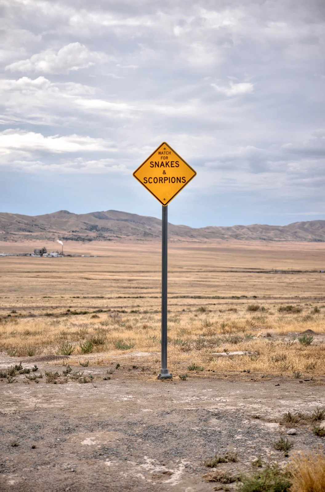 2025 SLC HIGHWAYS-23.jpg