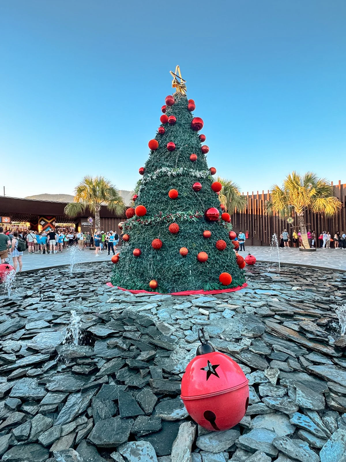 2025 DOMINCAN REPUBLIC-1.jpg