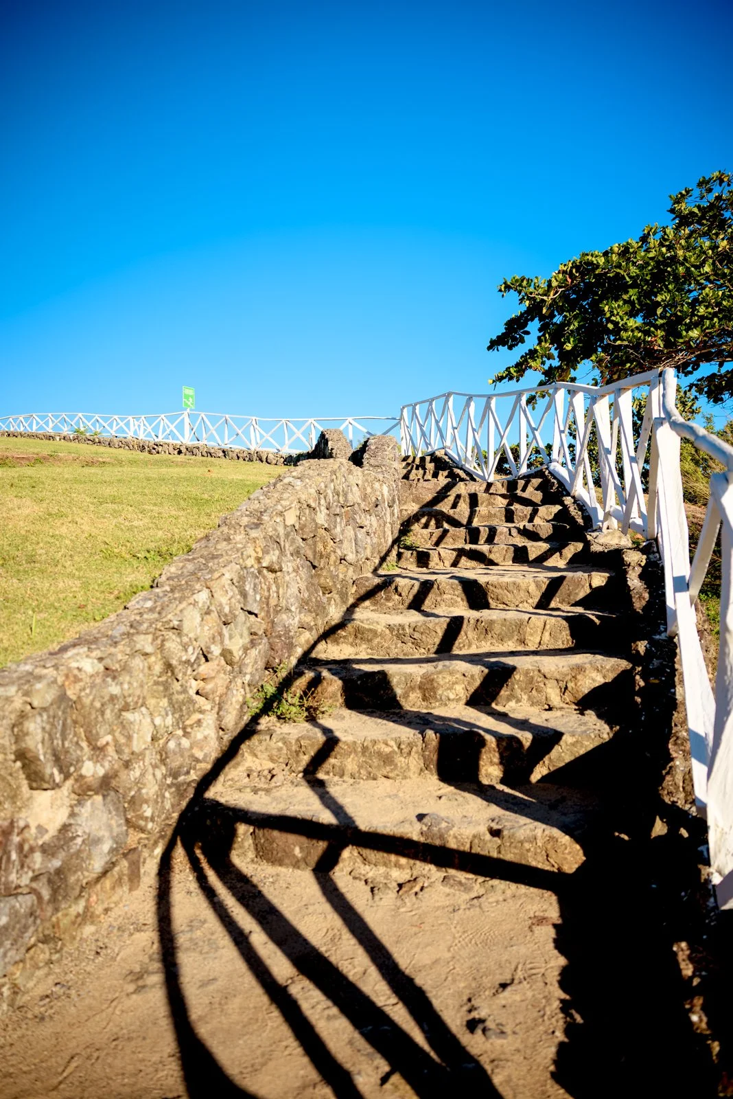 2025 DOMINCAN REPUBLIC-17.jpg