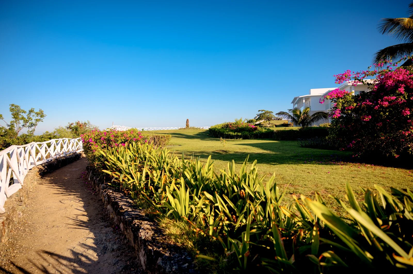 2025 DOMINCAN REPUBLIC-24.jpg